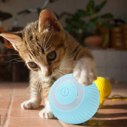 Electric Rolling Ball Toys For Cats
