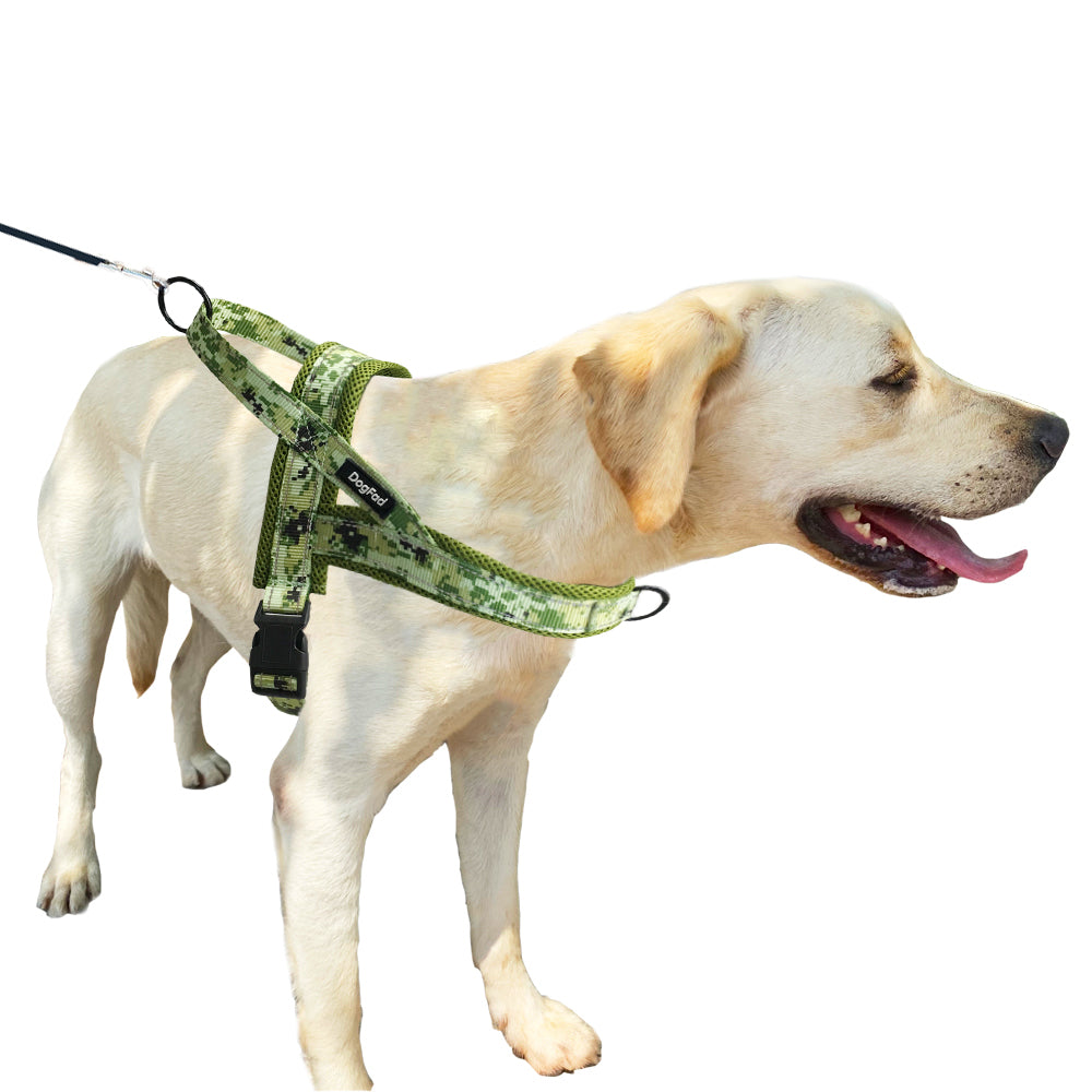 DogFad harnesses