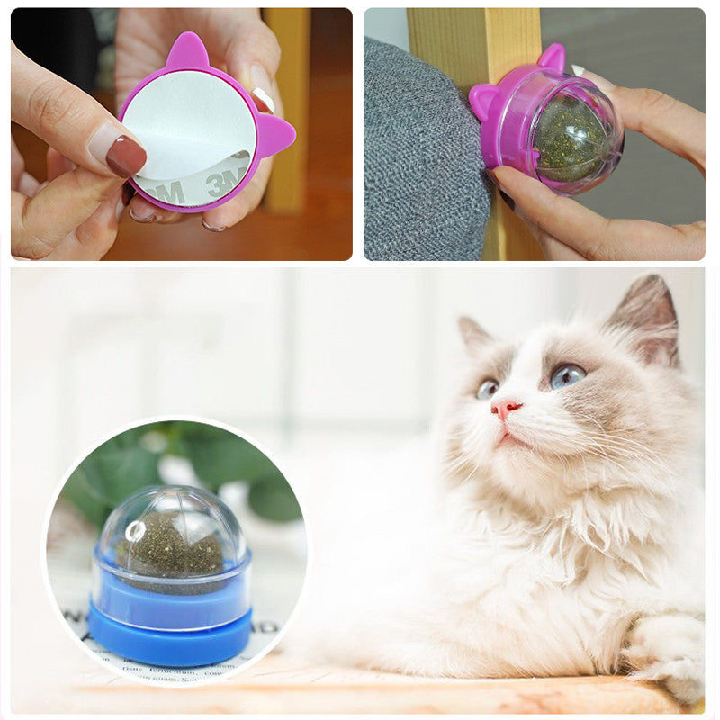Edible Catnip Ball Cats Chasing Game Toys