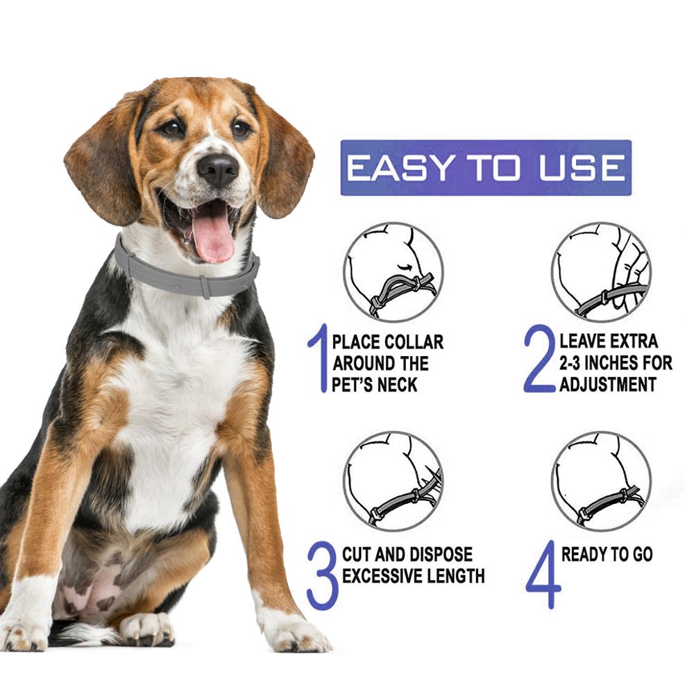 Cat Flea and Tick Collar Protection