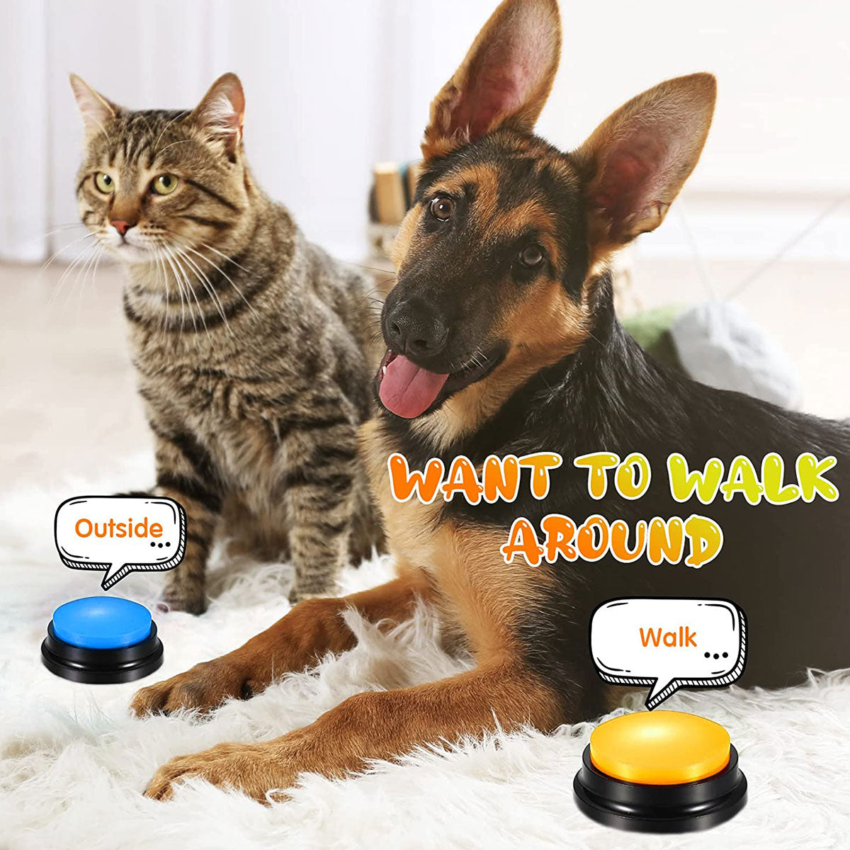 Pet Trainer Recordable Talking Buttons